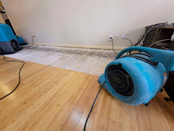 Professional Water Damage Repair technician working in Millbury, OH